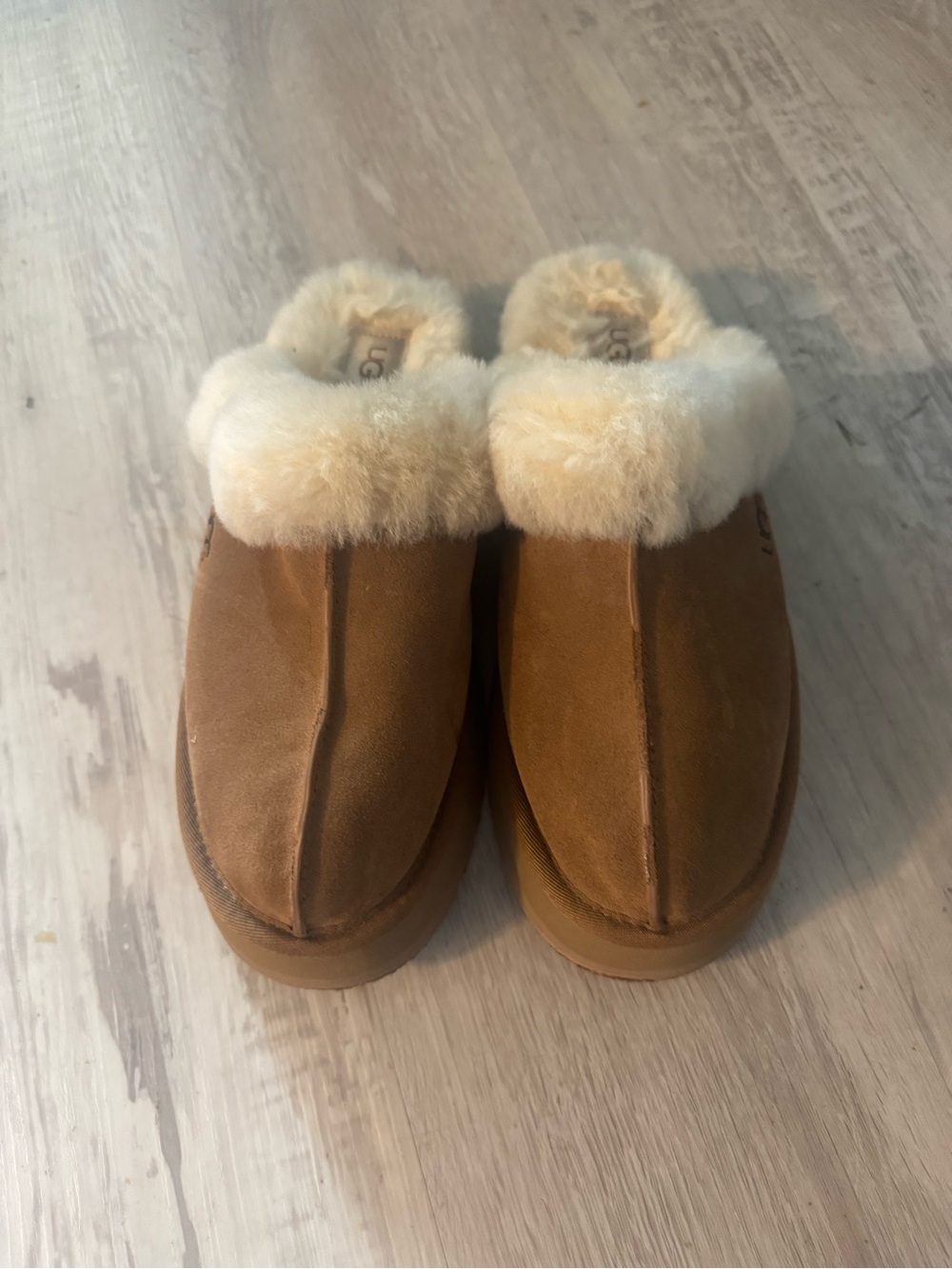 Classic Suede Shearling Clog Slippers - Chestnut Brown